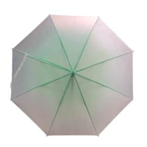 Αντιανεμική Ομπρέλα Βροχής με Μπαστούνι Ημιδιάφανη Πράσινη 2